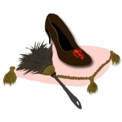 Pillow Shoe Illustration